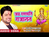 ( Superhit ) गणेश भजन 2018 II Jai Ganpati Gajanan II Hari Kirtan II Mohan Singh 2018
