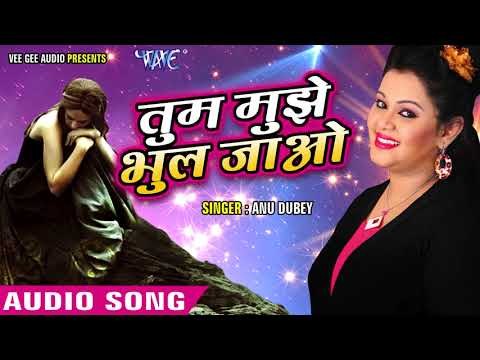 सबसे दर्द भरा गीत 2017 - Anu Dubey - तुम मुझे भूल जाओ - Tum Mujhe Bhul Jao - Hindi Sad Songs