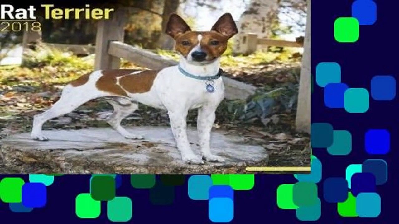 Full E-book  Rat Terrier  For Kindle