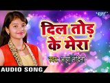 Dil Tod Ke Mera - Aarya Nandani - O Rabba Mera Yaar Milade - Superhit Hindi Sad Songs 2017