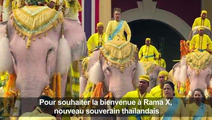 Thaïlande: des éléphants rendent hommage au roi Rama X