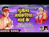 गुंजेला जयकारिया माई के - Nav Din Navratar Ke - Vishal Singh Vishu - Bhojpuri Devi Geet 2018