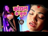 SUPERHIT होली का सबसे दर्द भरा गीत 2018 - Koyal Ke Kuk - Nisha Dubey - Bhojpuri Holi Songs 2018