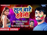 2018 का सबसे हिट दर्दभरा होली गीत - Nikhil Sriwastav - Sun Bate Haweli - Bhojpuri Holi Songs