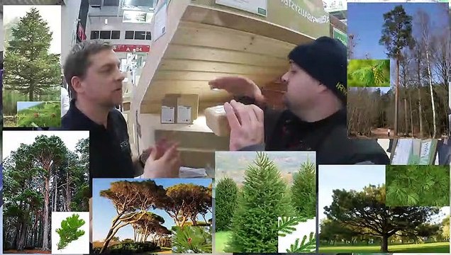 c'est quoi la matière type arbre de la fibre de bois steico