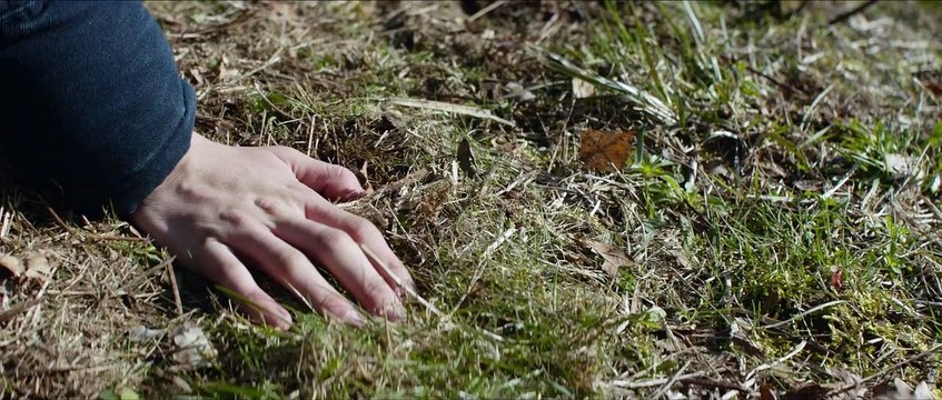 Les Particules - Bande-annonce