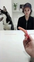 (울산출장마사지) ##D 100%후불-【 Ø1Ø↔6686↔5378 카톡fc81】울산출장안마, 울산출장안마후기, 울산출장안마'만족τ울산출장안마'만족도1위 20대여대생의 최상위 서비스