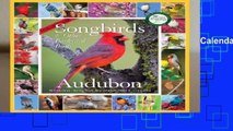 [Read] Audubon 365 Songbirds Picture-a-Day Calendar 2011 (Picture-A-Day Wall Calendars)  For Full