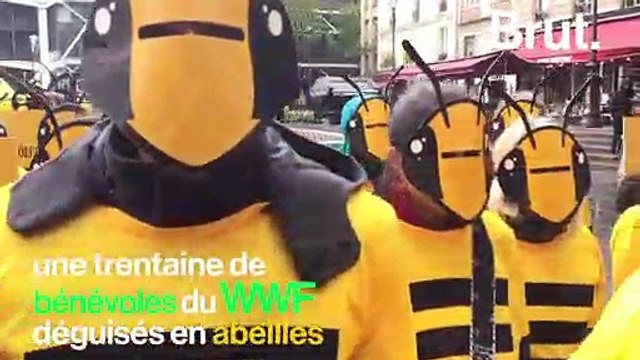 Des bénévoles du WWF déguisés en abeilles
