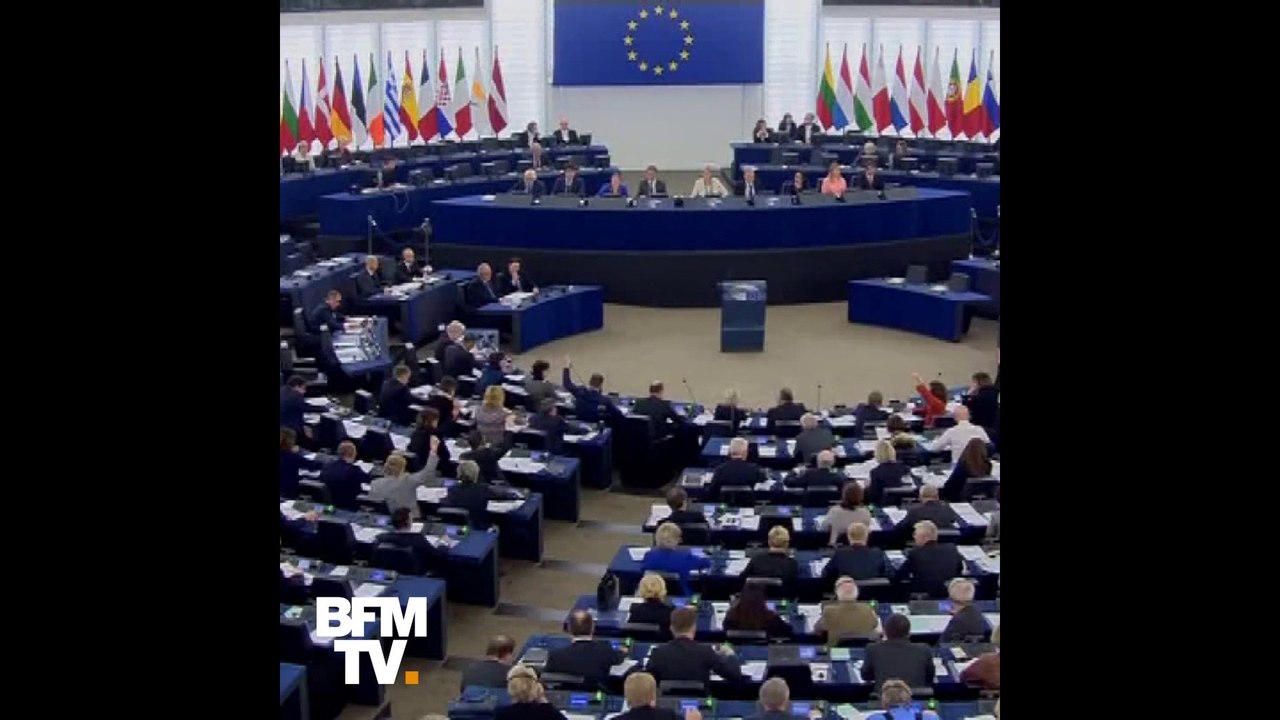 Ils sont journalistes, chanteurs ou avocats... Ces personnalités publiques qui se présentent aux élections européennes