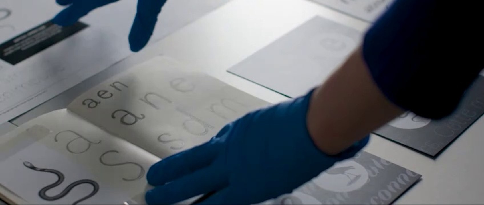 Faune de Alice Savoie, une commande publique d'un caractère typographique du Centre national des arts plastiques