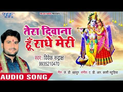Vivek Rudrakash (2018) का सुपरहिट कृष्णा भजन || Tera Diwana Hu Radhe Meri || Krishna Bhajan 2018