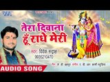 Vivek Rudrakash (2018) का सुपरहिट कृष्णा भजन || Tera Diwana Hu Radhe Meri || Krishna Bhajan 2018