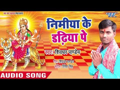 Nimiya Ke Dadhiya Pe || Lagal Darbar Maiya Rani Ke || Shivdhar Pandey ||