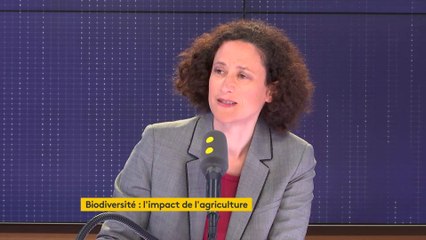 "Il y a une part de sexisme" dans les critiques de Nathalie Loiseau estime Emmanuelle Wargon