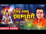 Satendra Pathak (2018) सुपरहिट शिव भजन - Shiv Shambhu Damrudhari - Superhit Hindi Shiv Bhajan