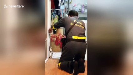 Aggressive cobra refuses to be caught, attacks firefighter