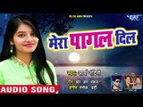 सबसे दर्द भरा गीत 2018 - Arya Nandini - मेरा पागल दिल - Hindi Sad Songs new