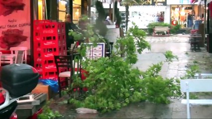 Fırtınada üzerine ağaç dalı düşen kadın yaralandı