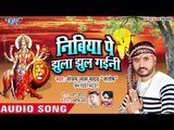 आगया चैत्र नवरात्री का पहला देवी गीत (2019 ) - निबिया पे झुला झुल गईनी - Sanjay Lal Yadav Santosh