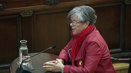 Un jubilat al judici de l'1-O: ''La policia espanyola em va agafar pels testicles''