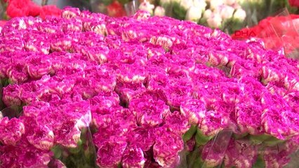 Antalya Dünya Annelerine Antalya'dan 45 Milyon Dal Çiçek