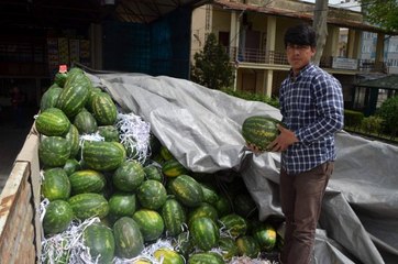 Türkiye'de Piyasaya İlk O Ülkenin Karpuzu Girdi