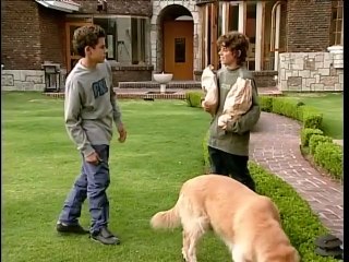 de pocas pocas pulgas   Capítulo 19