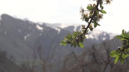 Dağları Aşıp Ulaştıkları Köyde Yüzleri Güldürdüler