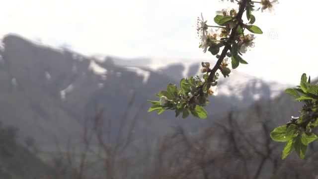Dağları Aşıp Ulaştıkları Köyde Yüzleri Güldürdüler