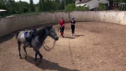 jenerik  render logolu