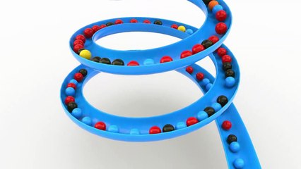 Color Balls on the Giant 3D Slide Forming Car Shapes with Color Balls