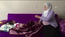 Pitbull Cinsi Köpeklerin Isırdığı Çocuk Yaralandı - İstanbul