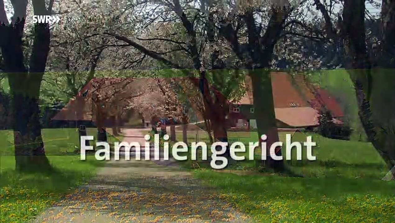 Die Fallers - Folge 977 - Familiengericht