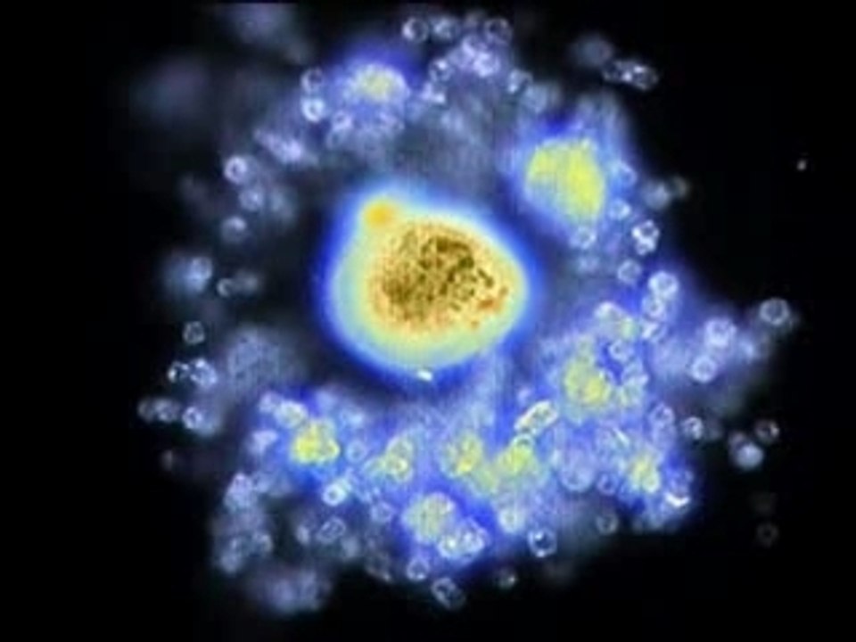 Giroscope