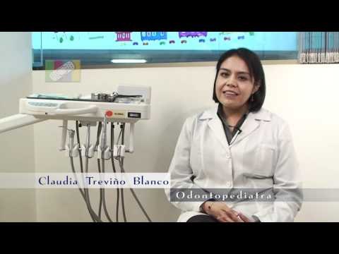 ¿En qué momento comienzan a salir los dientes de leche?