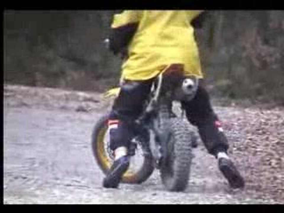 dirtbike apollomotors