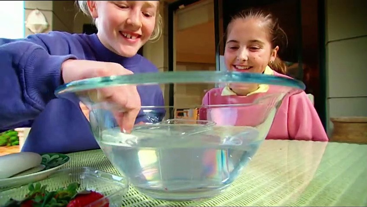 Backyard Science   S2E25   How to Cook with the Sun