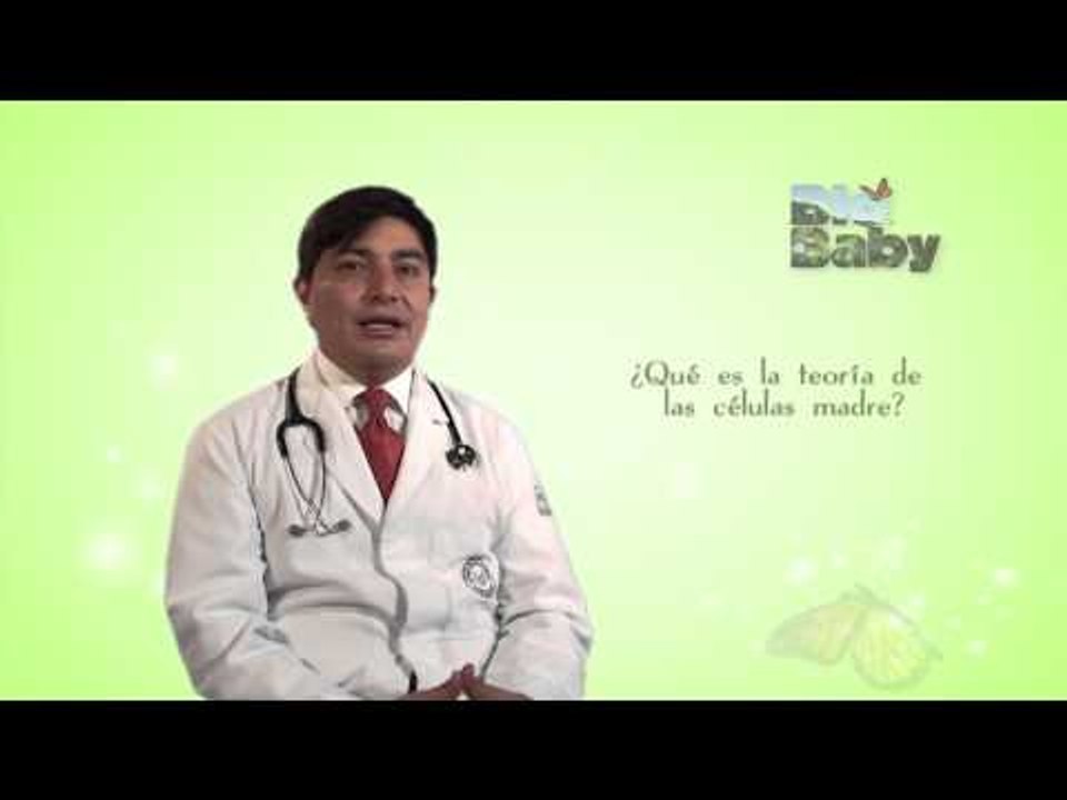 ¿Qué es la teoría de las células madre?