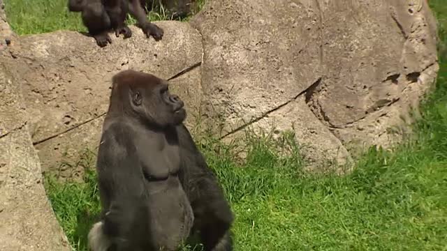 ONU: Vivimos la peor situación desde que la humanidad habita la Tierra