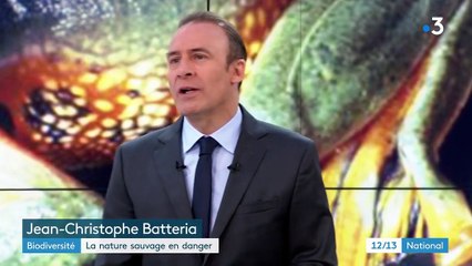 Biodiversité : la nature sauvage mise en danger par l'homme