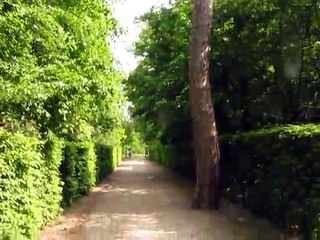 Parc de Sceaux-Arbre
