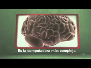 SISTEMA NERVIOSO CENTRAL
