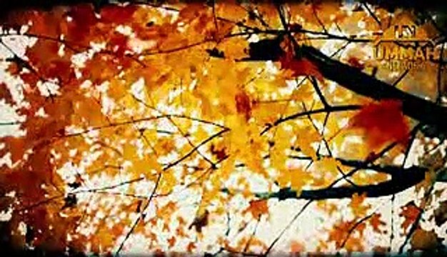 নামাজ গুনাহ কে মুছে দেয় _ শাইখ তামিম আল আদনানী (হাফিজাহুল্লাহ) (Reupload)_lo