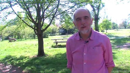 Tours : il était une fois la baignade