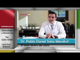 ¿El bebé puede ver dentro del útero?