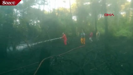 Datça'da orman yangını