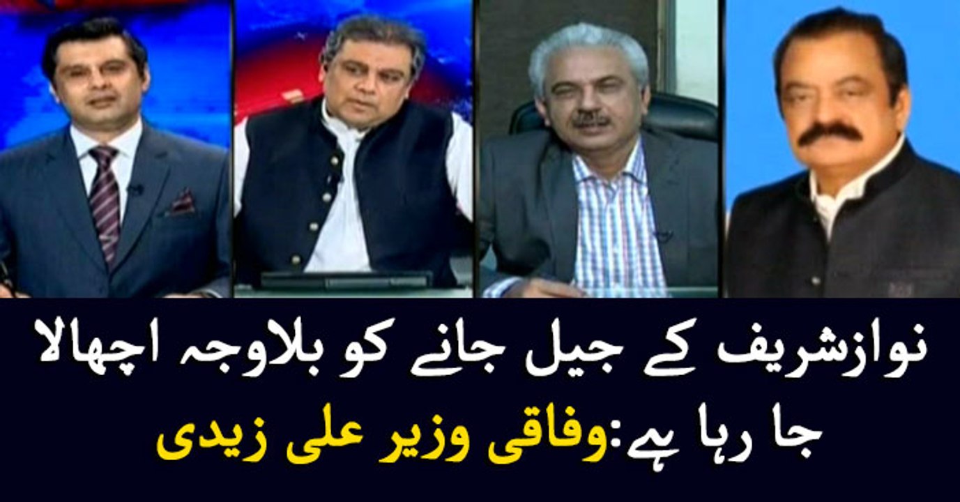 Needless hype on Nawaz's surrender: Ali Zaidi