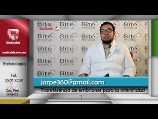 ¿Cuántos embriones es aconsejable transferir en un tratamiento de fecundación In Vitro?