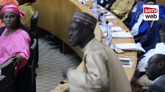 Assemblée Nationale_Le député Malaw sow insulte Bara doli